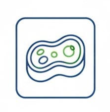 Искусственное (культивируемое) мясо