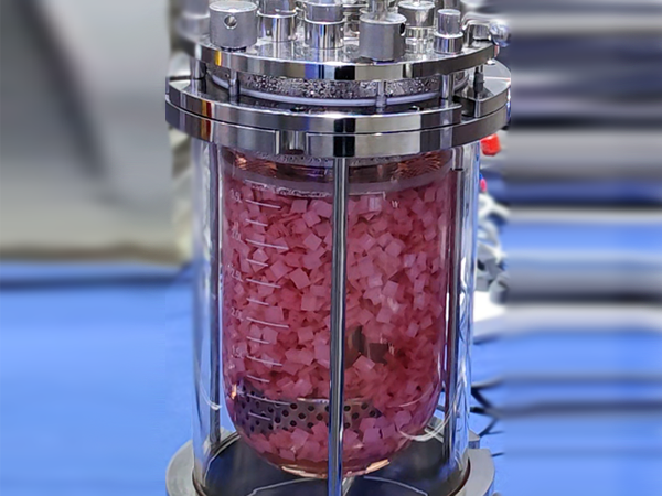 Стеклянные реакторные системы